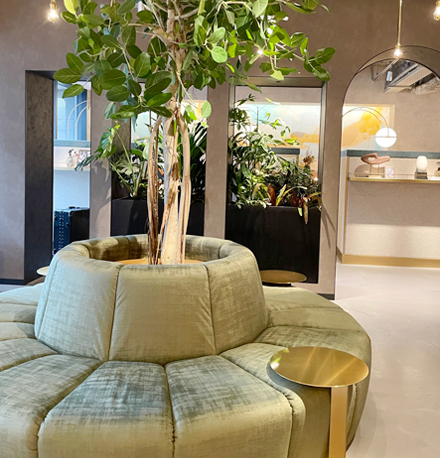 バランガン占い師になる為の相談会