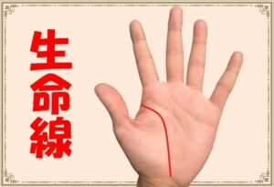 占い師監修 生命線 手相 の基本 枝分かれの意味とは 新宿占い館バランガン 占い師監修 生命線 手相 の基本 枝分かれの意味とは 新宿占い館バランガン