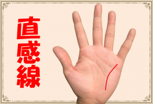 直感線の意味とは?第六感に優れた貴重な手相