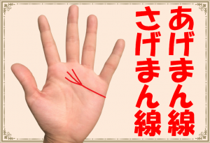 【手相】あげまん線・さげまん線!あなたはどっち?