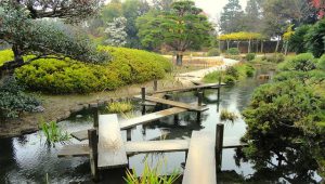 岡山県の当たる占い館・占い師とは?
