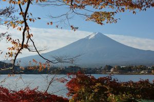 山梨県の当たる占い館・占い師とは?