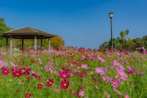 鹿児島で当たる占い館・占い師とは?
