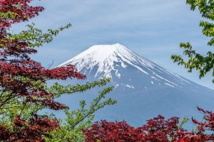 富士市で当たる占い館・占い師とは?